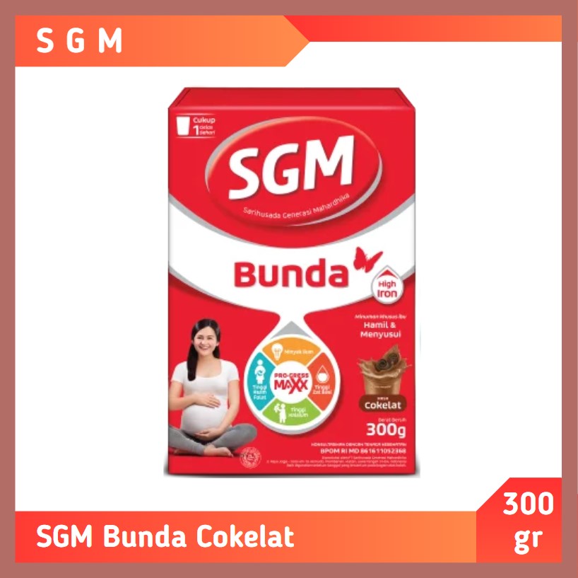 SGM Bunda Cokelat 300 gr